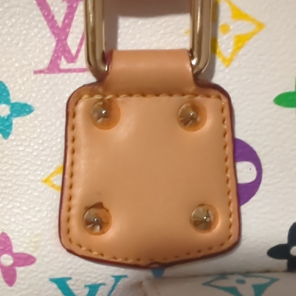 Multicolor  Women's Handbag - Picture 10 of 16
